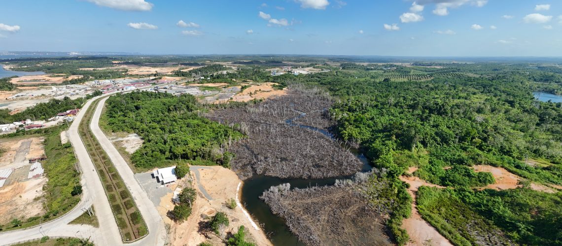 Přehrazení toku řeky Selumut vedoucí k odumření více než 10 hektarů mangrovů