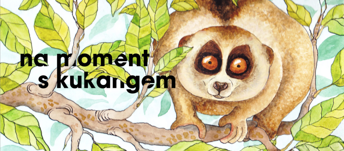 na moment s kukangem