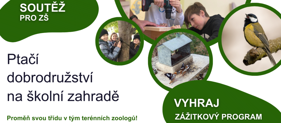 Soutěž - Ptačí dobrodružství (1)