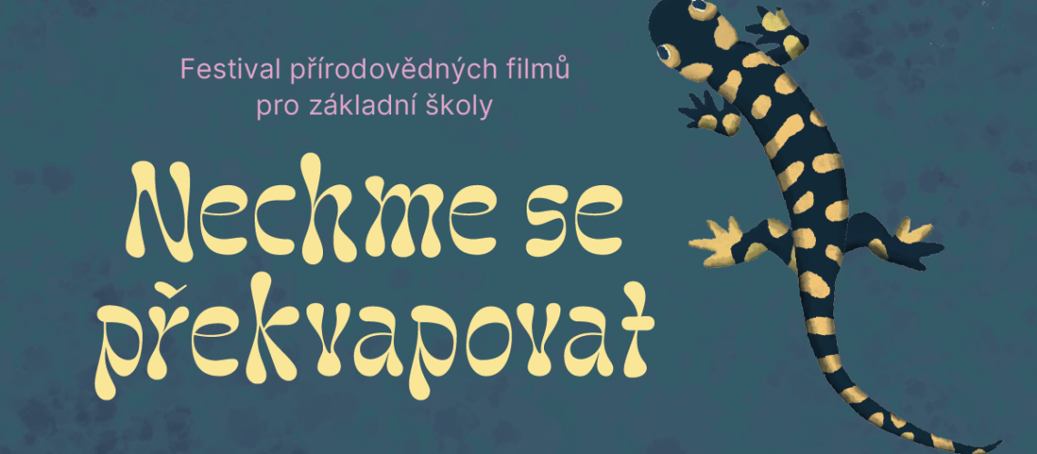 Nechme se překvapovat
