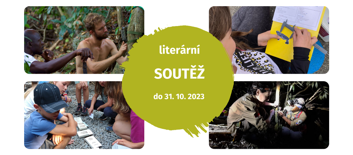 soutez