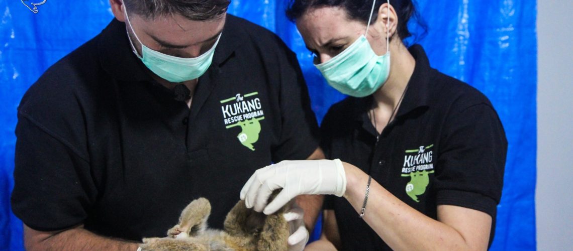vstupni-veterinarni-prohlidka-zabaveneho-outlone-1